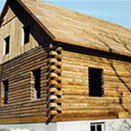 Log home roughed in with roof.